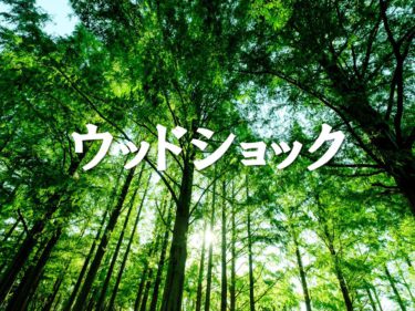 ウッドショックで材質には注意が必要