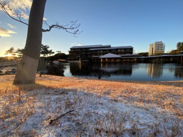 年末の家族が集まる日