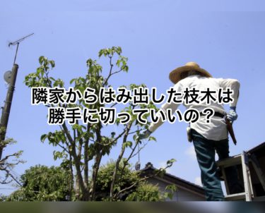 ４月以降隣家からはみ出してきた枝は勝手にきれる？！