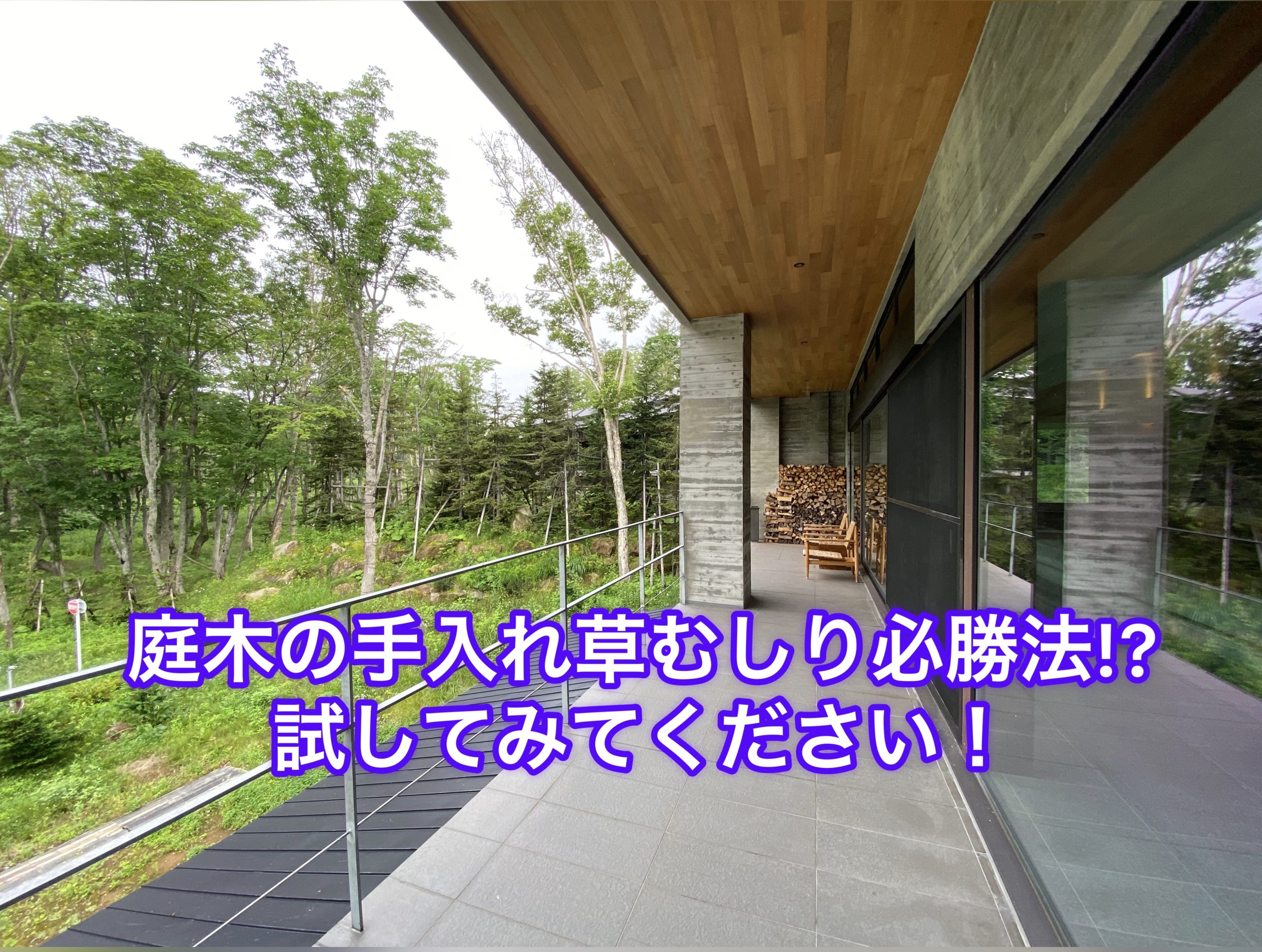 庭木の手入れ・草むしりの必勝法？！試してみてください！