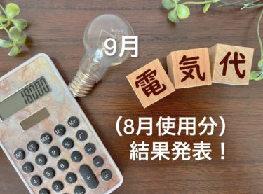 ９月の電気代（８月使用分）結果発表！