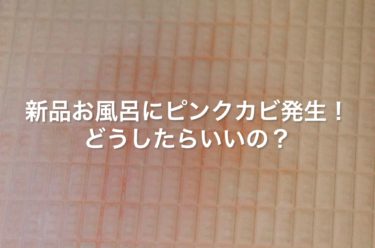 新品お風呂にピンクカビが発生！どうしたらいいの？