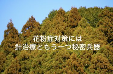 花粉症対策には針治療と第１種熱交換換気システム