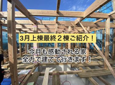 ３月上棟！今月も感動される家♪全力で建てて行きます！