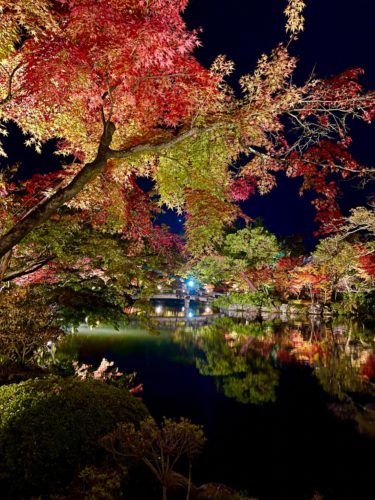 秋といえばどんな気分ですか？