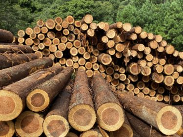 天然乾燥紀州材の採用の為和歌山に！