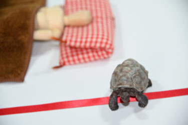 油断は禁物！・・・から始まる２０２６年